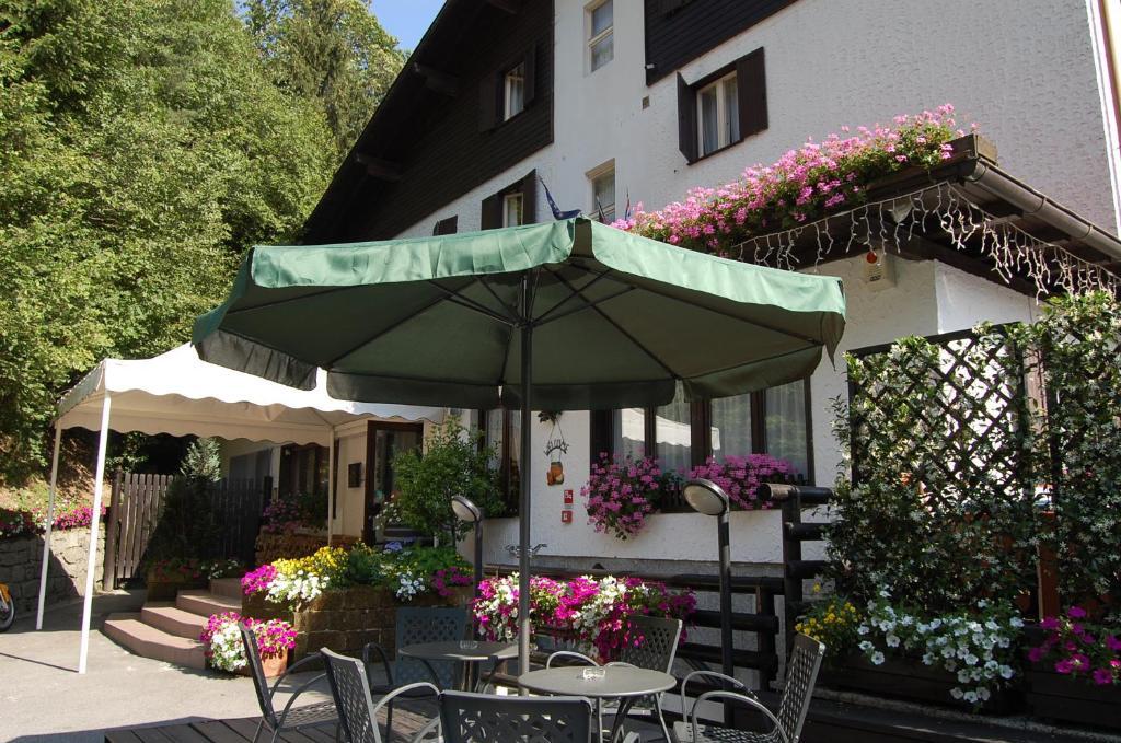 Chalet Fiocco Di Neve Pinzolo Zewnętrze zdjęcie