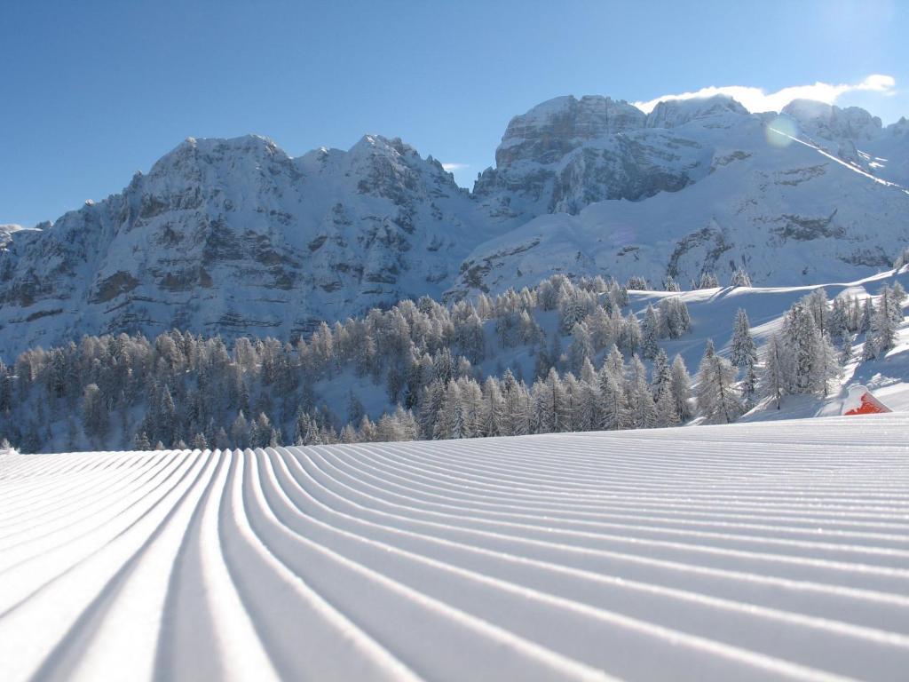 Chalet Fiocco Di Neve Pinzolo Zewnętrze zdjęcie