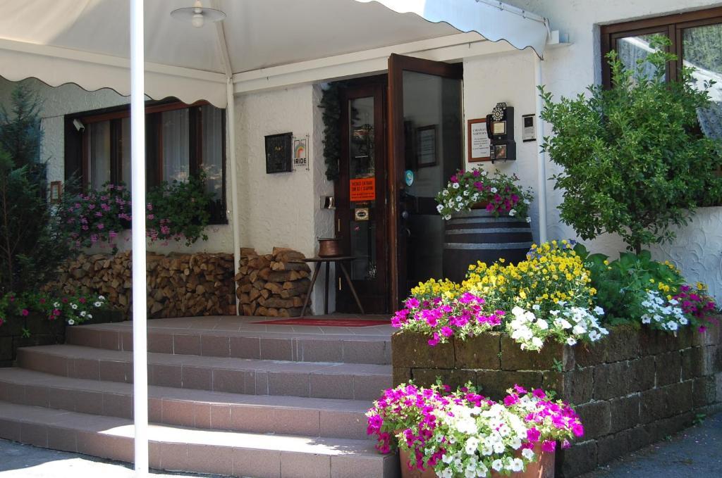 Chalet Fiocco Di Neve Pinzolo Zewnętrze zdjęcie